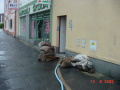 DSC00186